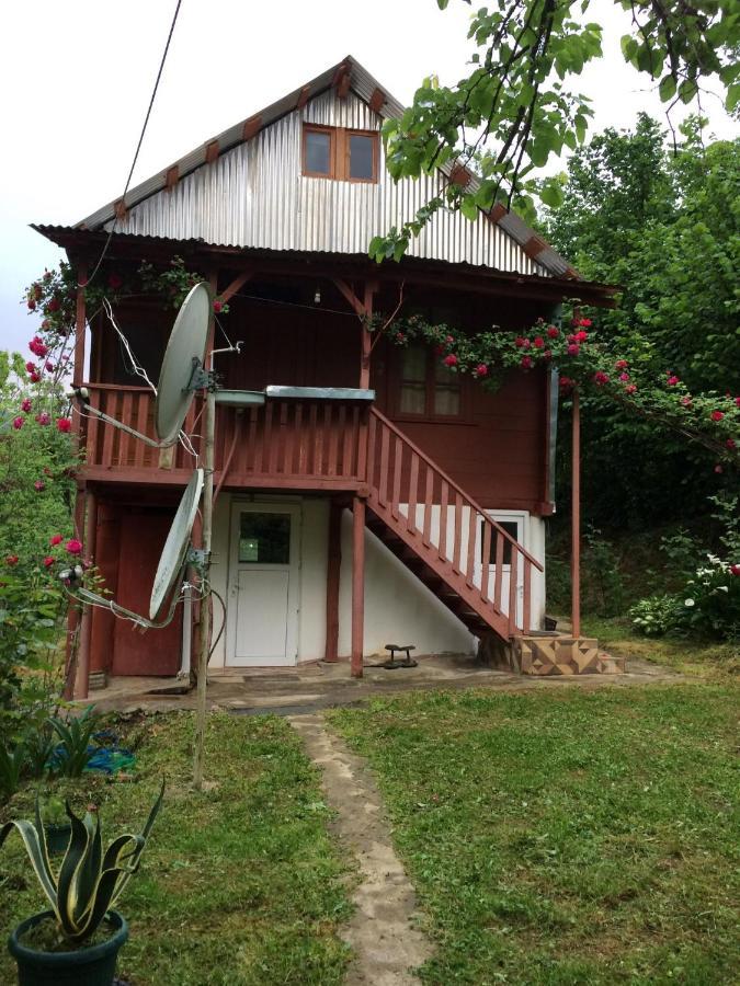 Villa Tengiz Chakvistavi Екстер'єр фото
